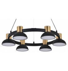 Подвесная люстра Indigo Traforo 11059/6P Black