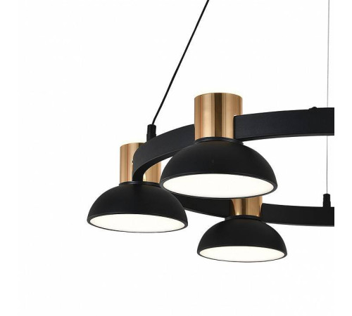 Подвесная люстра Indigo Traforo 11059/6P Black