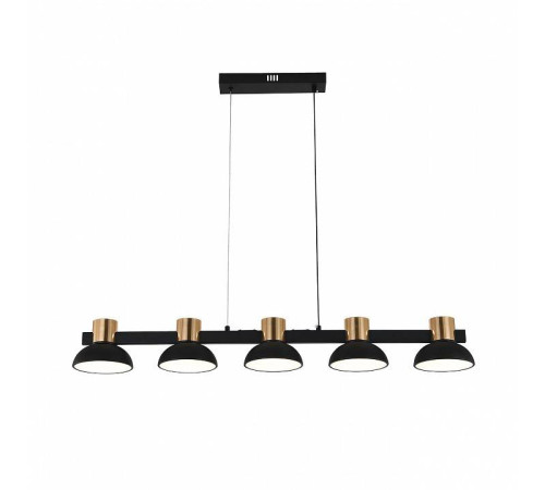 Подвесной светильник Indigo Traforo 11059/5PL Black