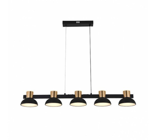 Подвесной светильник Indigo Traforo 11059/5PL Black