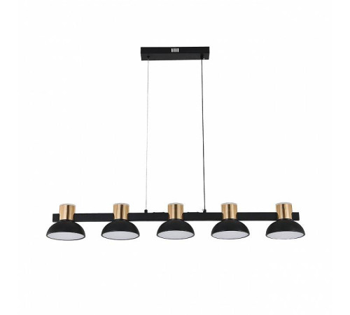 Подвесной светильник Indigo Traforo 11059/5PL Black