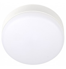 Накладной светильник Jazzway  ДПО-1036 12w 6500K IP54