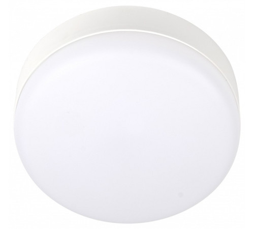 Накладной светильник Jazzway ДПО-1036 12w 6500K IP54