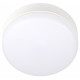 Накладной светильник Jazzway ДПО-1036 12w 6500K IP54