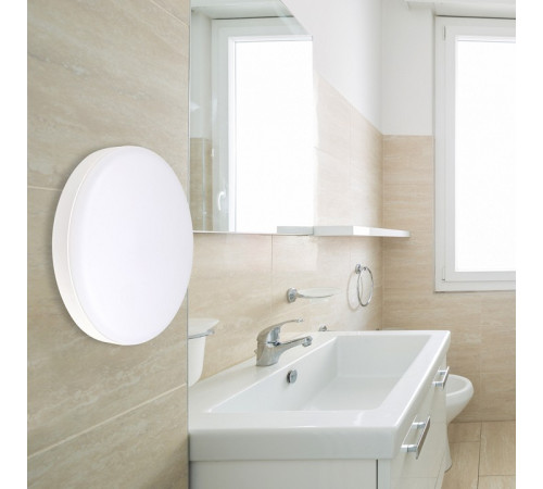 Накладной светильник Jazzway ДПО-1036 12w 6500K IP54