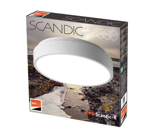 Накладной светильник Jazzway PPB Scandic-R 36w 4000K GR IP20 D380*50