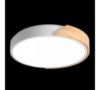 Накладной светильник Jazzway Sсandic 5036956