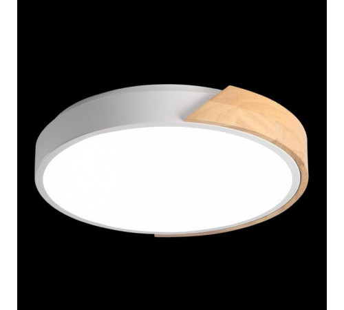 Накладной светильник Jazzway Sсandic 5036956