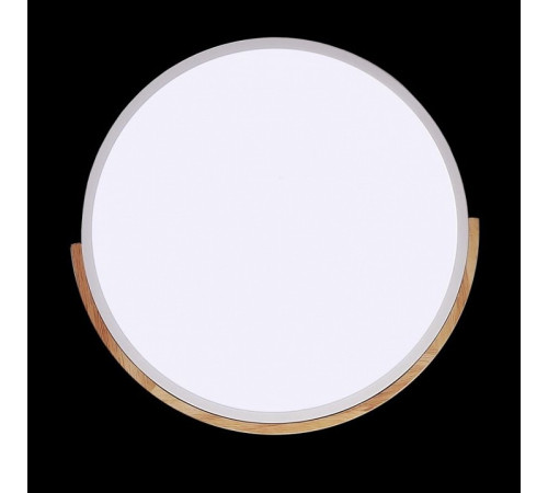 Накладной светильник Jazzway Sсandic 5036956