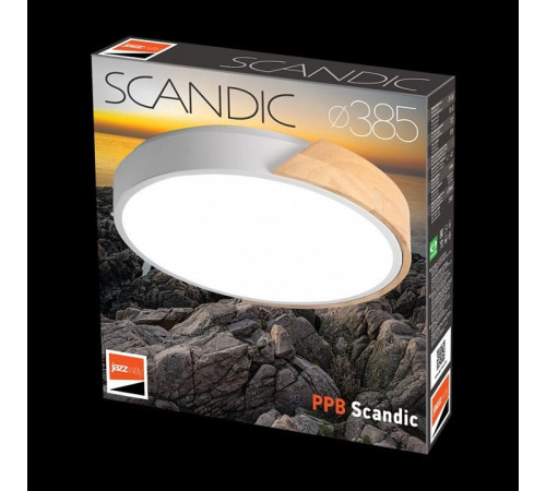 Накладной светильник Jazzway Sсandic 5036956