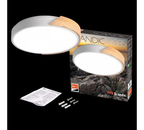 Накладной светильник Jazzway Sсandic 5036956