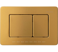 Кнопка смыва пневматическая Allen Brau Infinity сталь брашированное золото 9.20006.GB