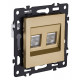 Розетка двойная Ethernet RJ-45 и со шторками, без рамки Kollinger Asthetik AS-018GD