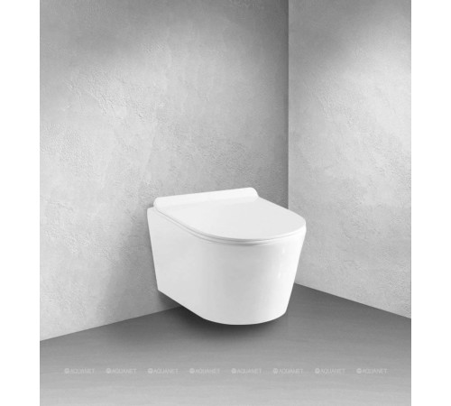 Крышка-сиденье для унитаза BelBagno Amanda Soft Close BB051SC