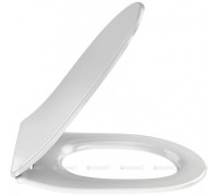 Сиденье для унитаза Jacob Delafon Odeon RG / Bastille с микролифтом E24889-00