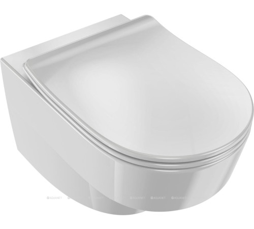 Сиденье для унитаза Jacob Delafon Odeon RG / Bastille с микролифтом E24889-00