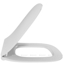 Крышка-сиденье для унитаза Jacob Delafon Struktura с микролифтом E70025-00