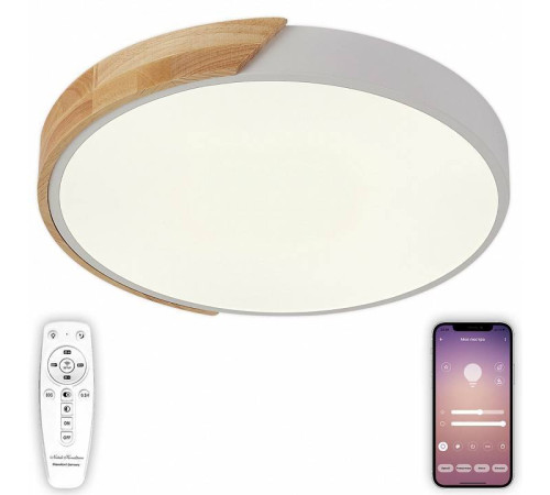 Светильник накладной Natali Kovaltseva Scandinavian 81181