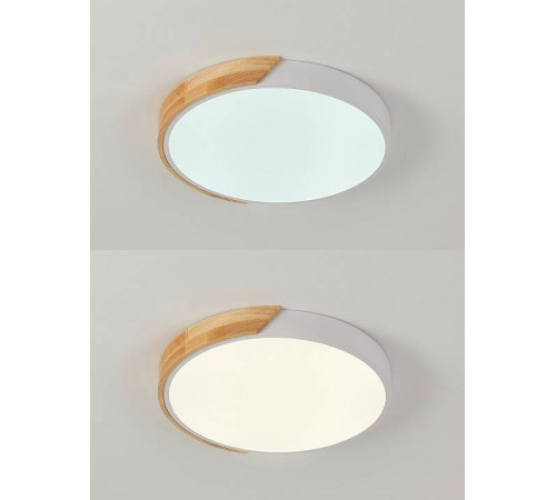 Светильник накладной Natali Kovaltseva Scandinavian 81181