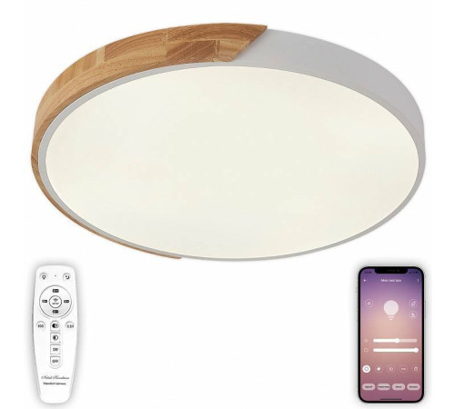 Накладной светильник Natali Kovaltseva Scandinavian LED LAMPS 81182