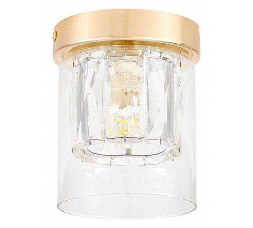 Накладной светильник Lampit DENI TC 2020-1 FGD