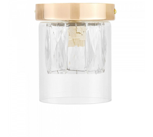 Накладной светильник Lampit DENI TC 2020-1 FGD