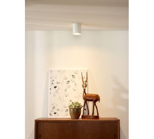 Накладной светильник Lucide Bodi 09100/01/31