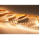Лента светодиодная LEDS POWER ПРО125 008882