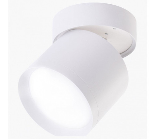 Накладной светильник LEDS POWER SPOT 009445