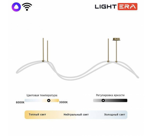 Светильник на штанге LIGHTERA Nyasa LE117L-150GB WIFI