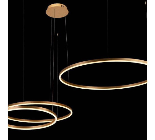 Подвесной светильник Loft it Ring 10017/3S