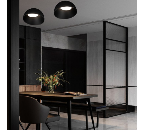 Накладной светильник Loft it Egg 10197/350 BB