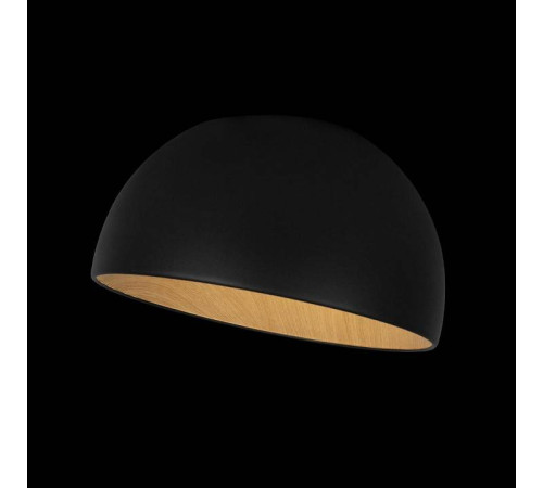 Накладной светильник Loft it Egg 10197/350 Black