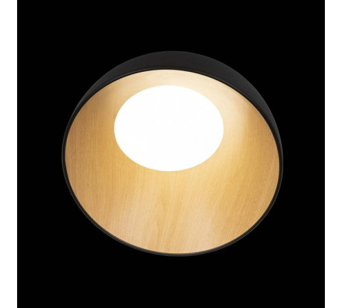 Накладной светильник Loft it Egg 10197/350 Black