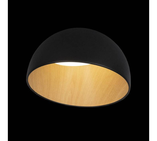 Накладной светильник Loft it Egg 10197/350 Black
