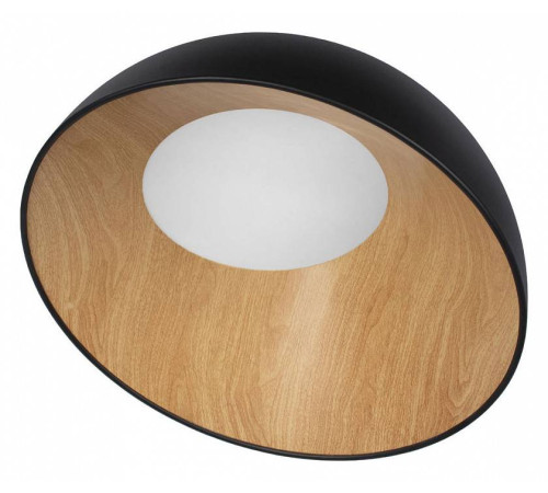 Накладной светильник Loft it Egg 10197/500 Black
