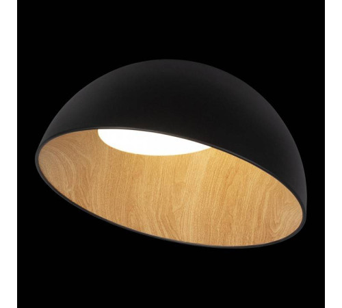 Накладной светильник Loft it Egg 10197/500 Black