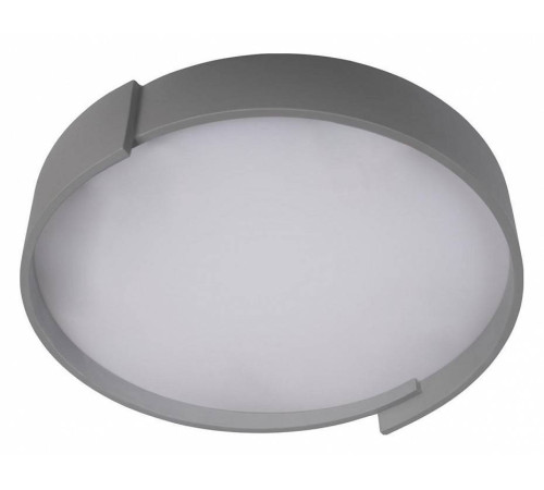 Накладной светильник Loft it Coin 10200 Grey