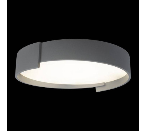 Накладной светильник Loft it Coin 10200 Grey