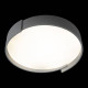 Накладной светильник Loft it Coin 10200 Grey