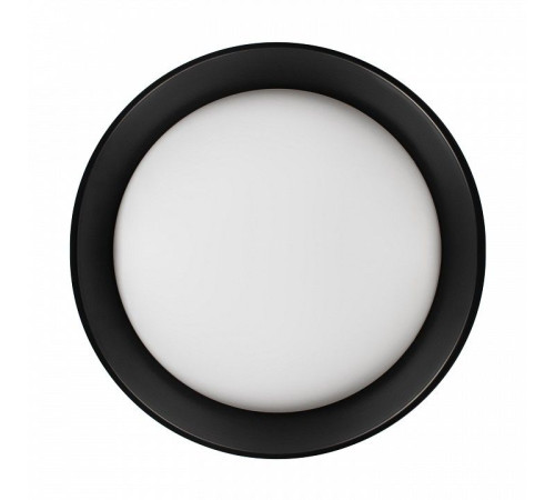 Накладной светильник Loft it Coin 10202 BB