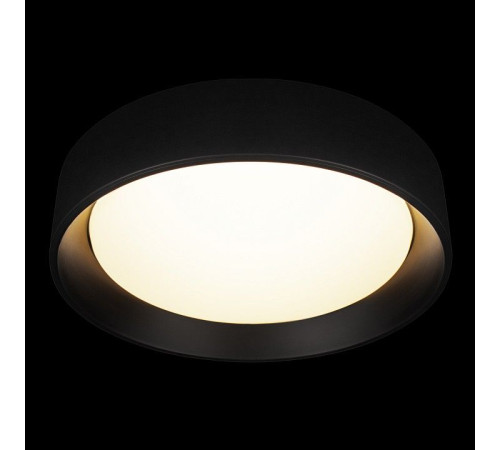 Накладной светильник Loft it Coin 10202 BB
