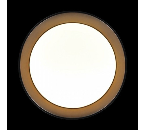 Накладной светильник Loft it Coin 10202 BB