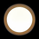 Накладной светильник Loft it Coin 10202 BB