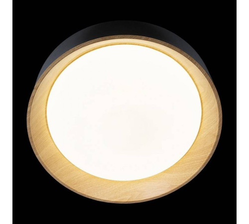 Накладной светильник Loft it Coin 10202 Black