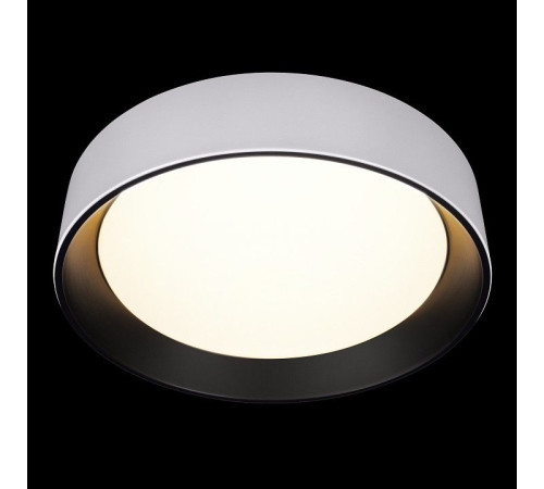 Накладной светильник Loft it Coin 10202 WB
