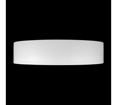 Накладной светильник Loft it Coin 10202 WB