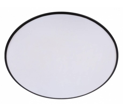 Накладной светильник Loft it Brim 10226 Black