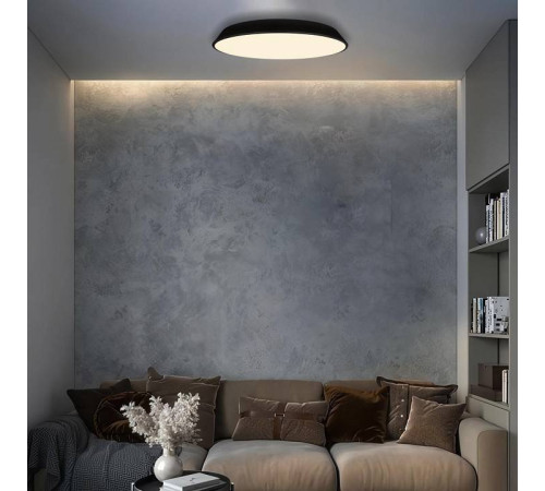 Накладной светильник Loft it Brim 10226 Black