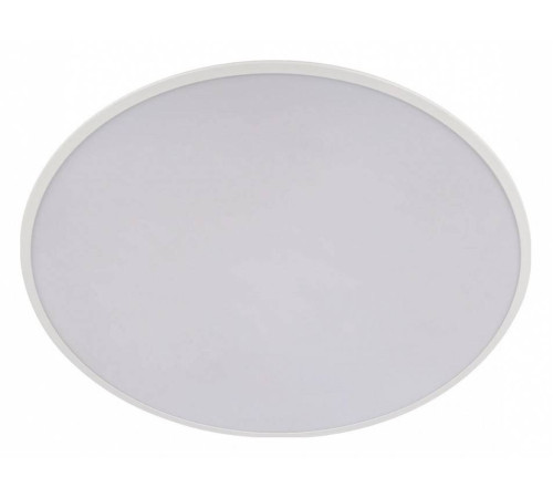 Накладной светильник Loft it Brim 10226 White